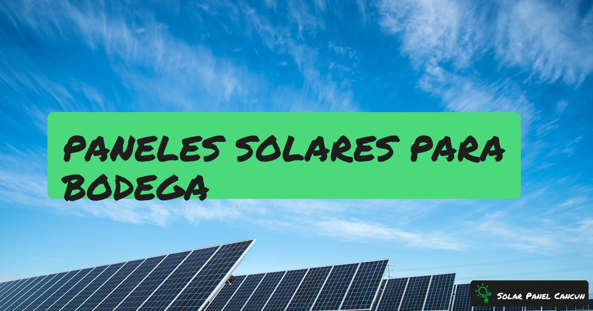 Paneles Solares para Bodega: Techos Grandes, Ahorros Enormes en Quintana Roo [2026] - SolarPanelCancun