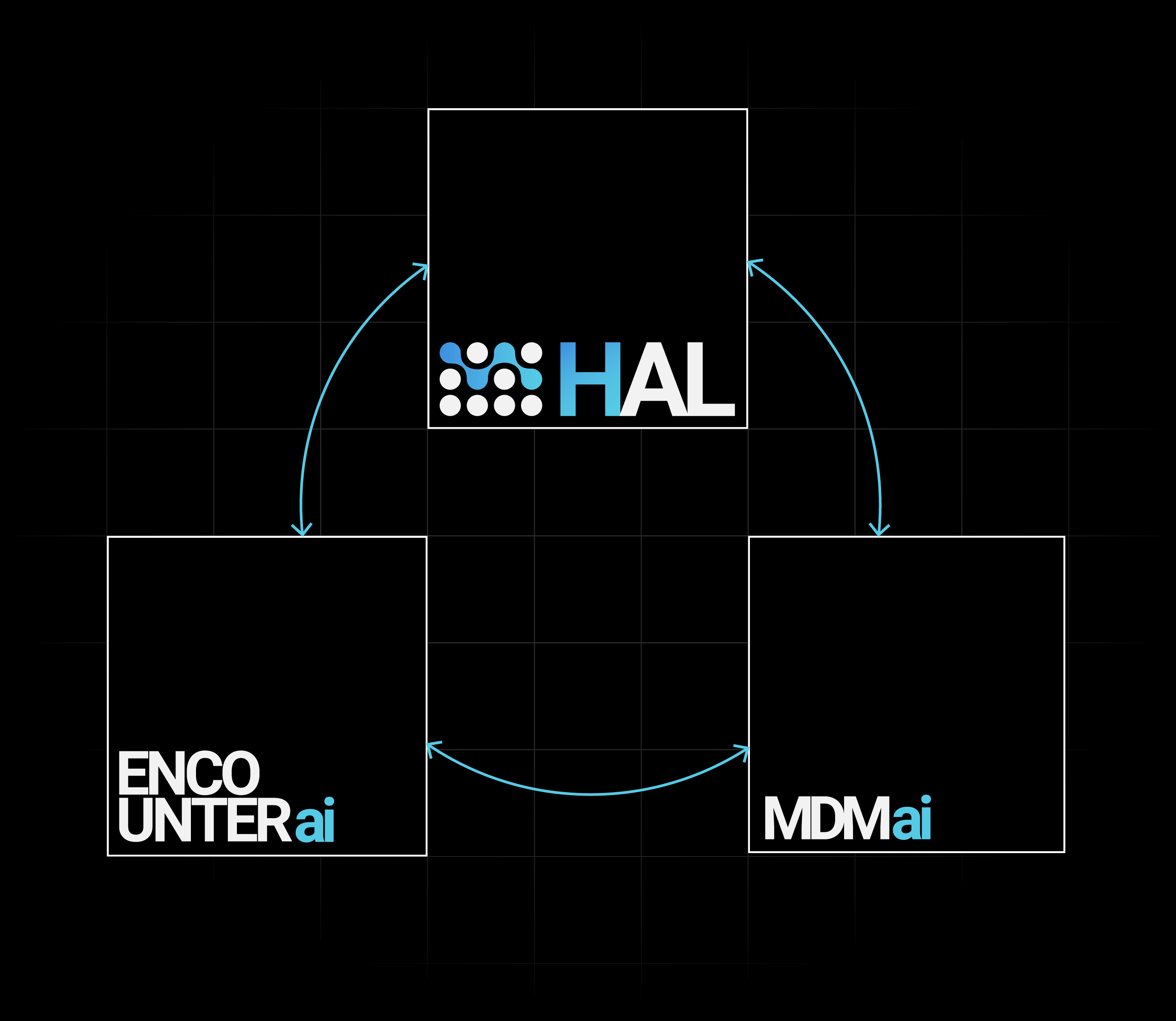 Graphic of the HAL framework