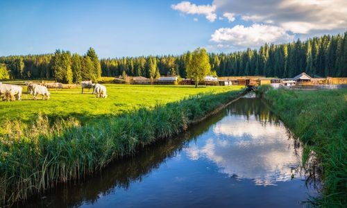 Edar Life farm picture