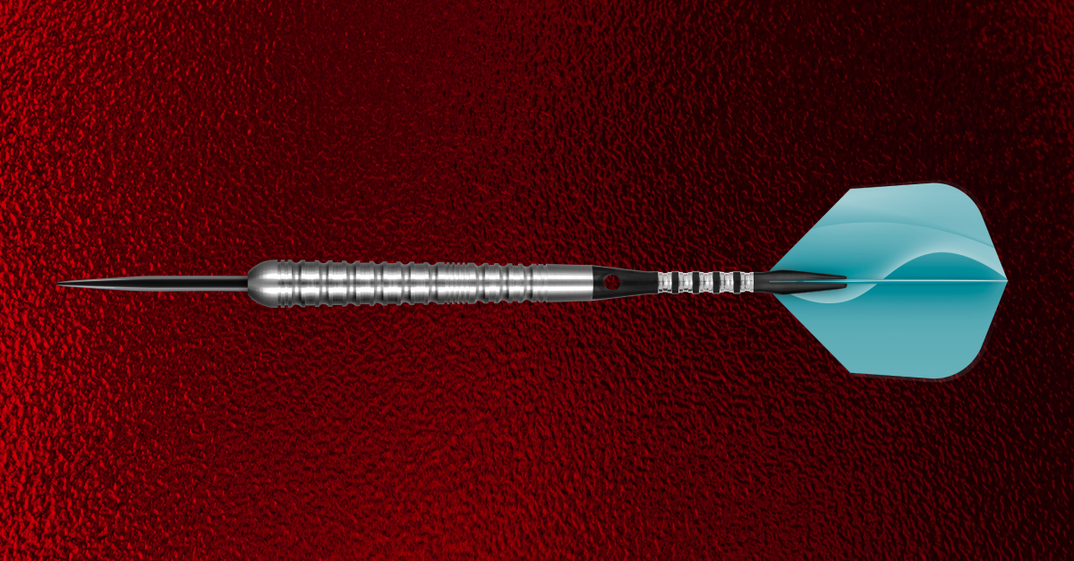 SATSUKI FUJIWARA STEEL DARTS
