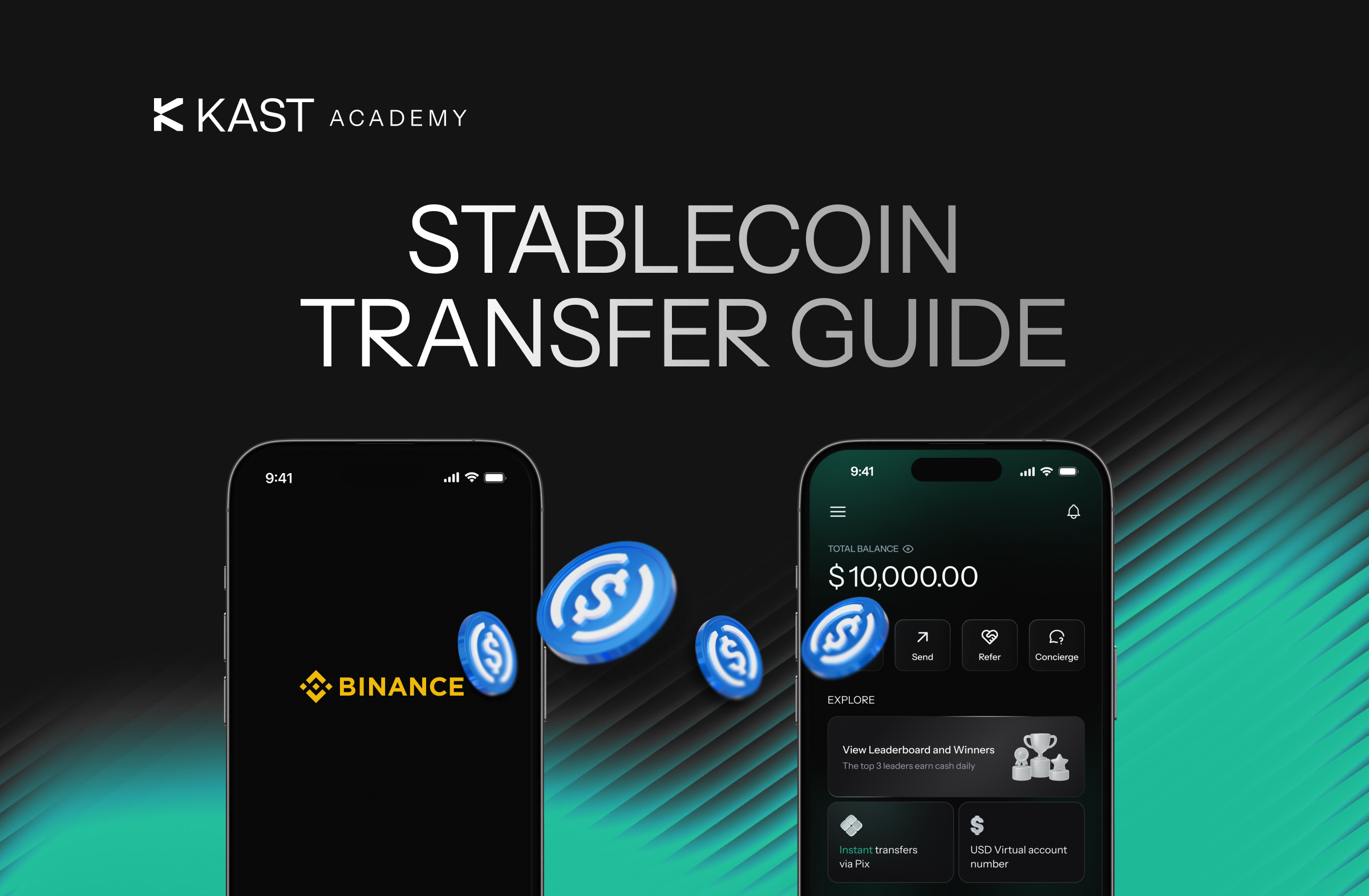 Stablecoin Transfer Guide