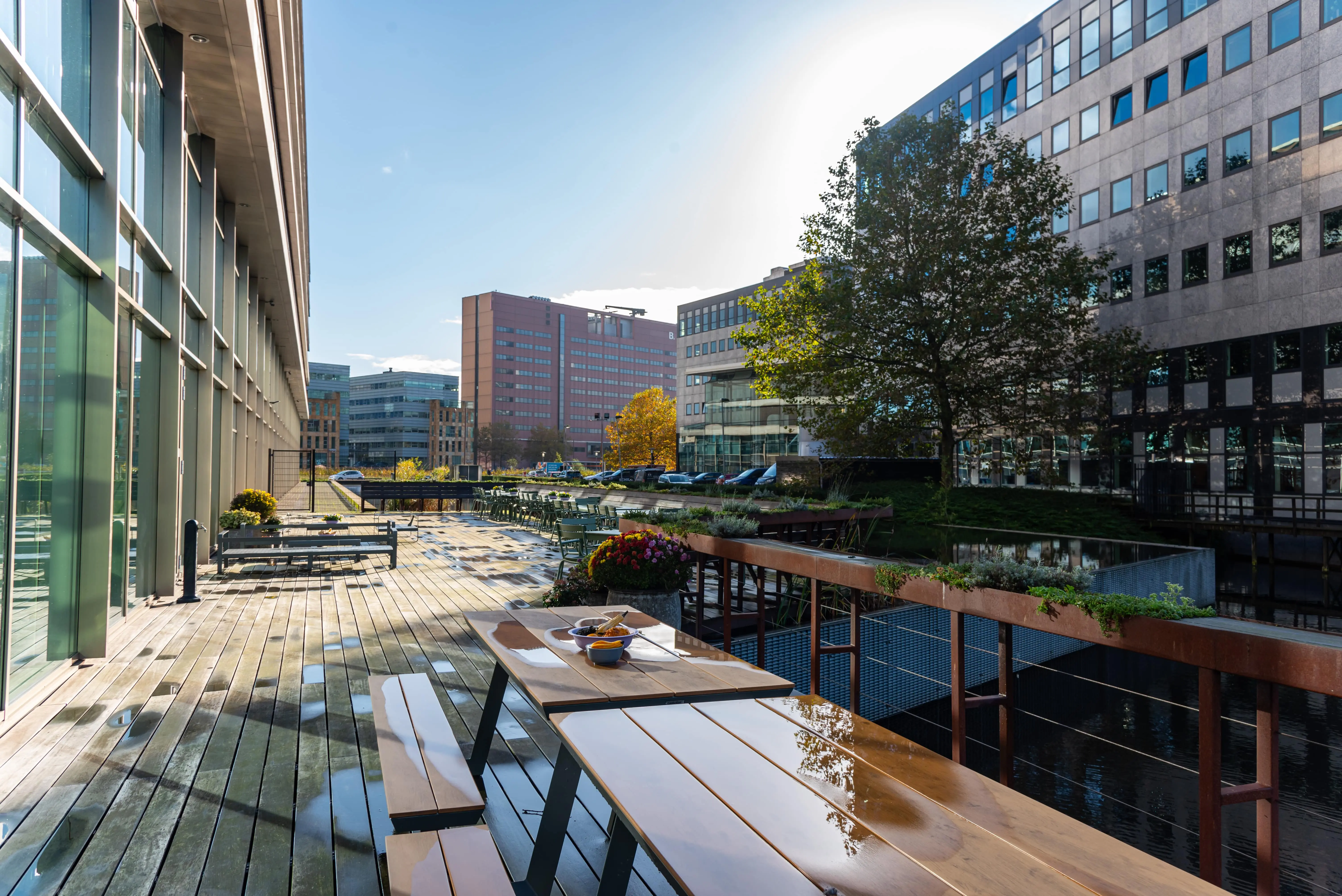 Foto 17, Terras-min.webp