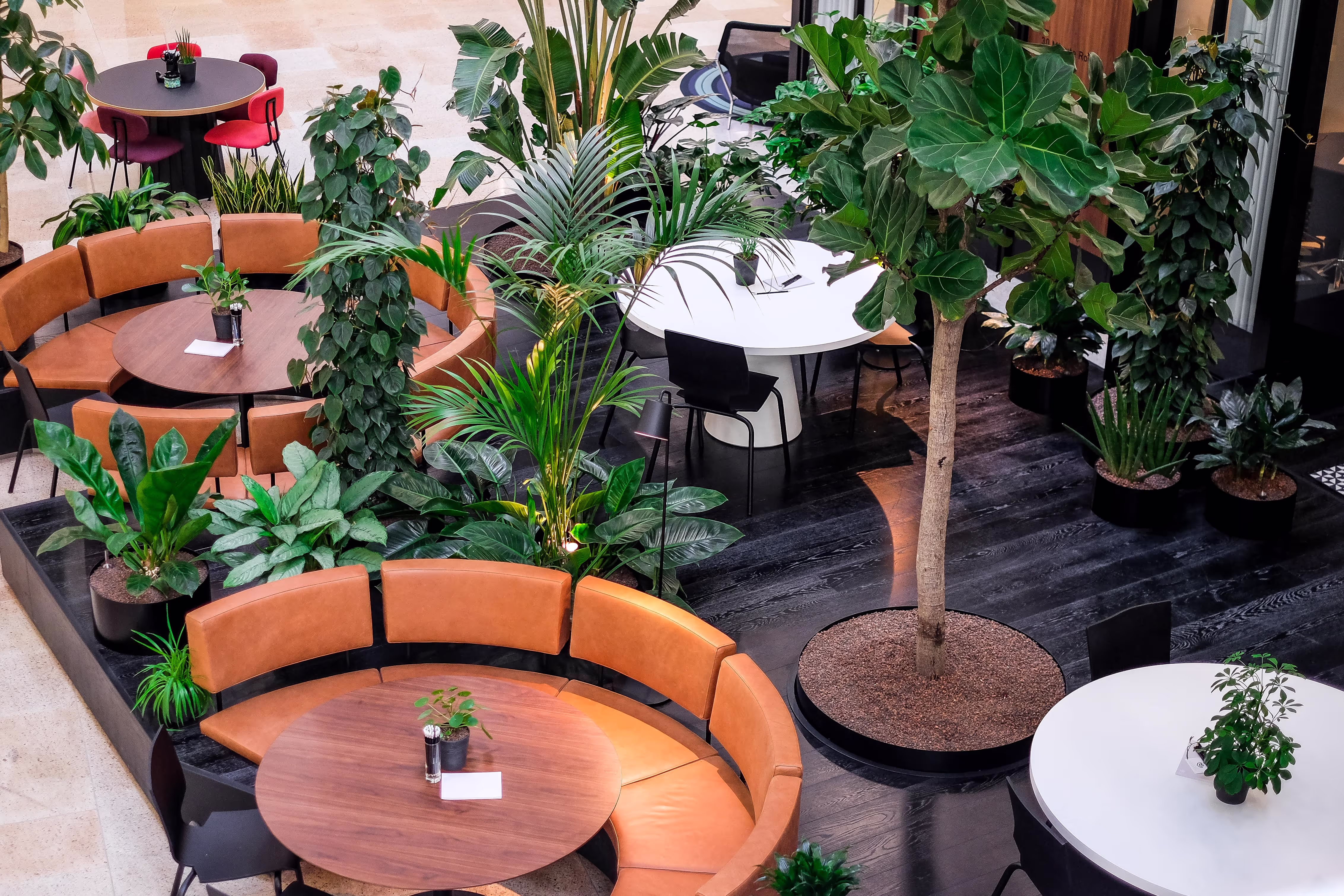 Kantoor Huren in Amsterdam: Hyper Moderne Kantoorruimte bij EDGE Olympic in de Amsterdamse Stadionbuurt