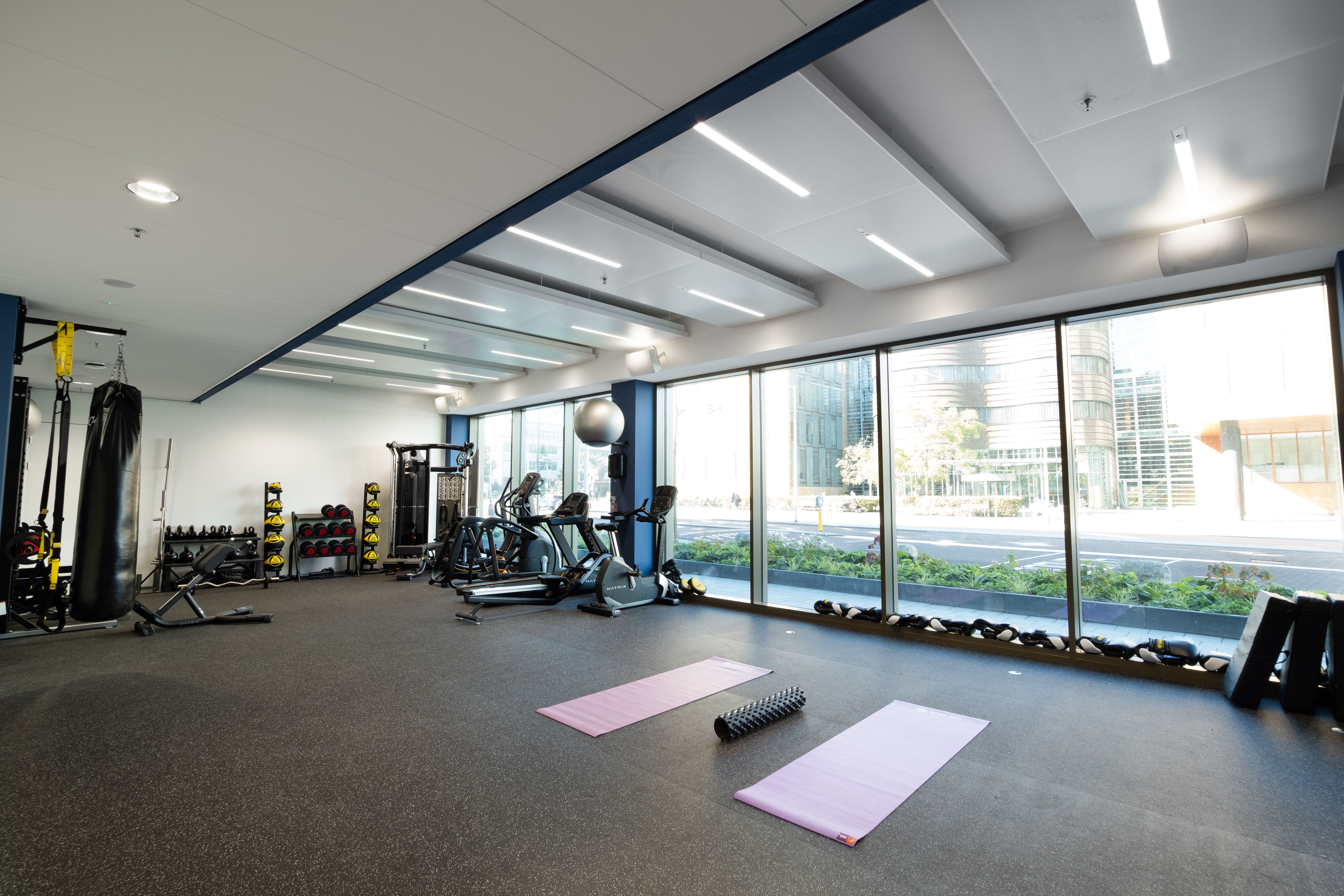 EWS_Gym OLA 01-min.jpg