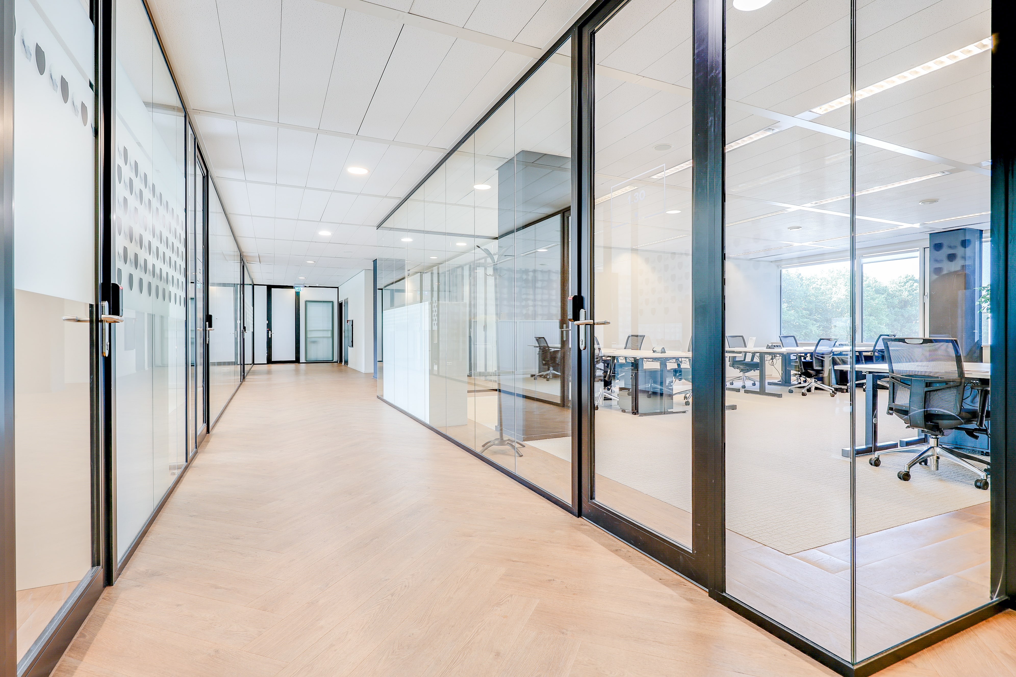 NEW Tribes Amsterdam Adam Smith - Corridor 8-min.jpg