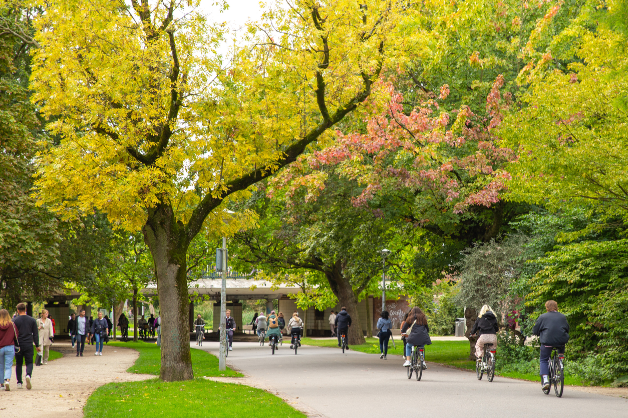 Huur een Kantoorruimte in het Chique Amsterdam Zuid