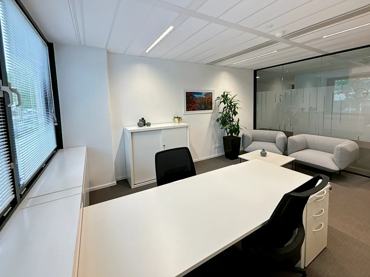 Regus, Saturnusstraat 46-62 - 4.webp