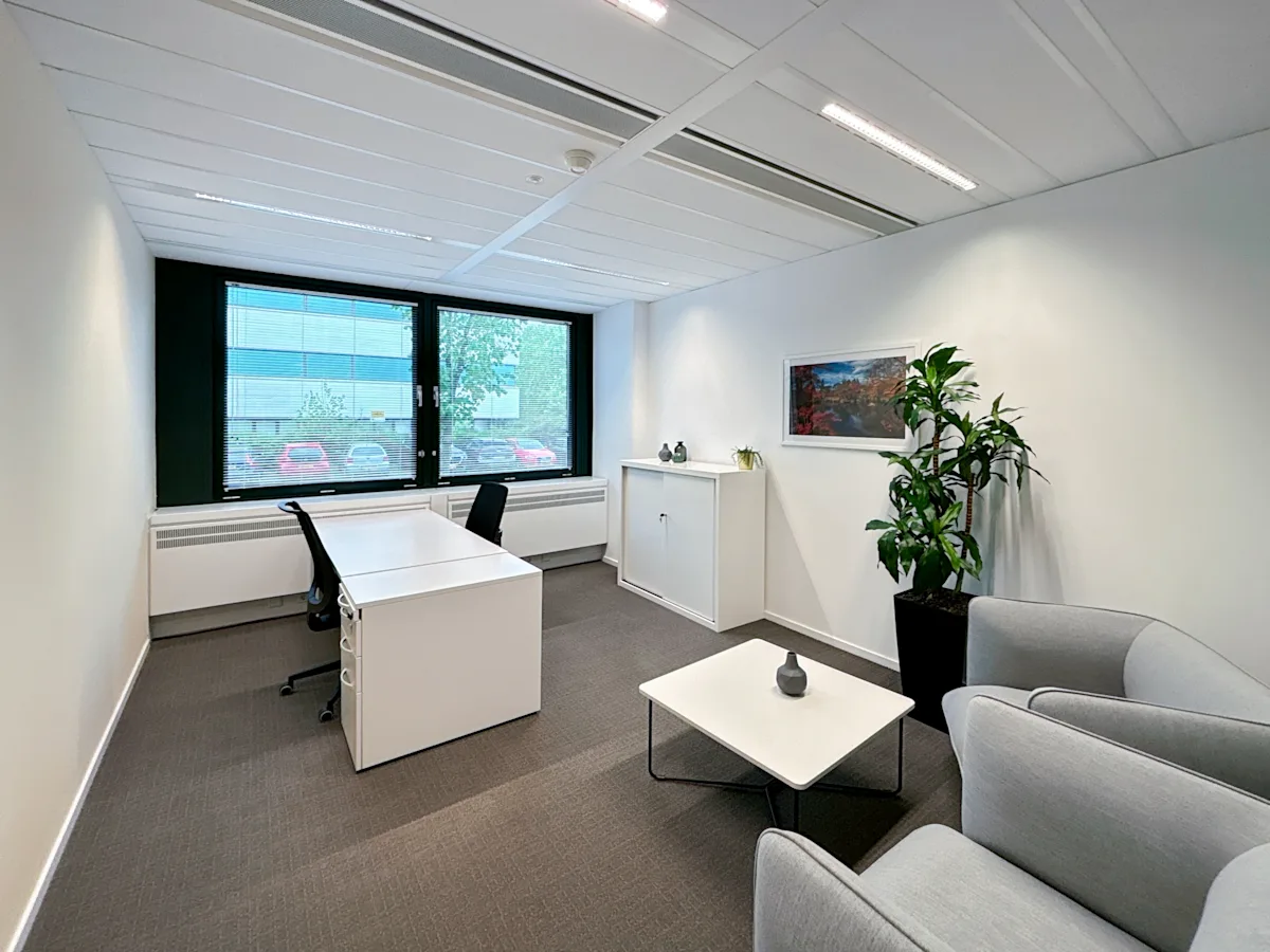 Regus, Saturnusstraat 46-62 - 15.webp