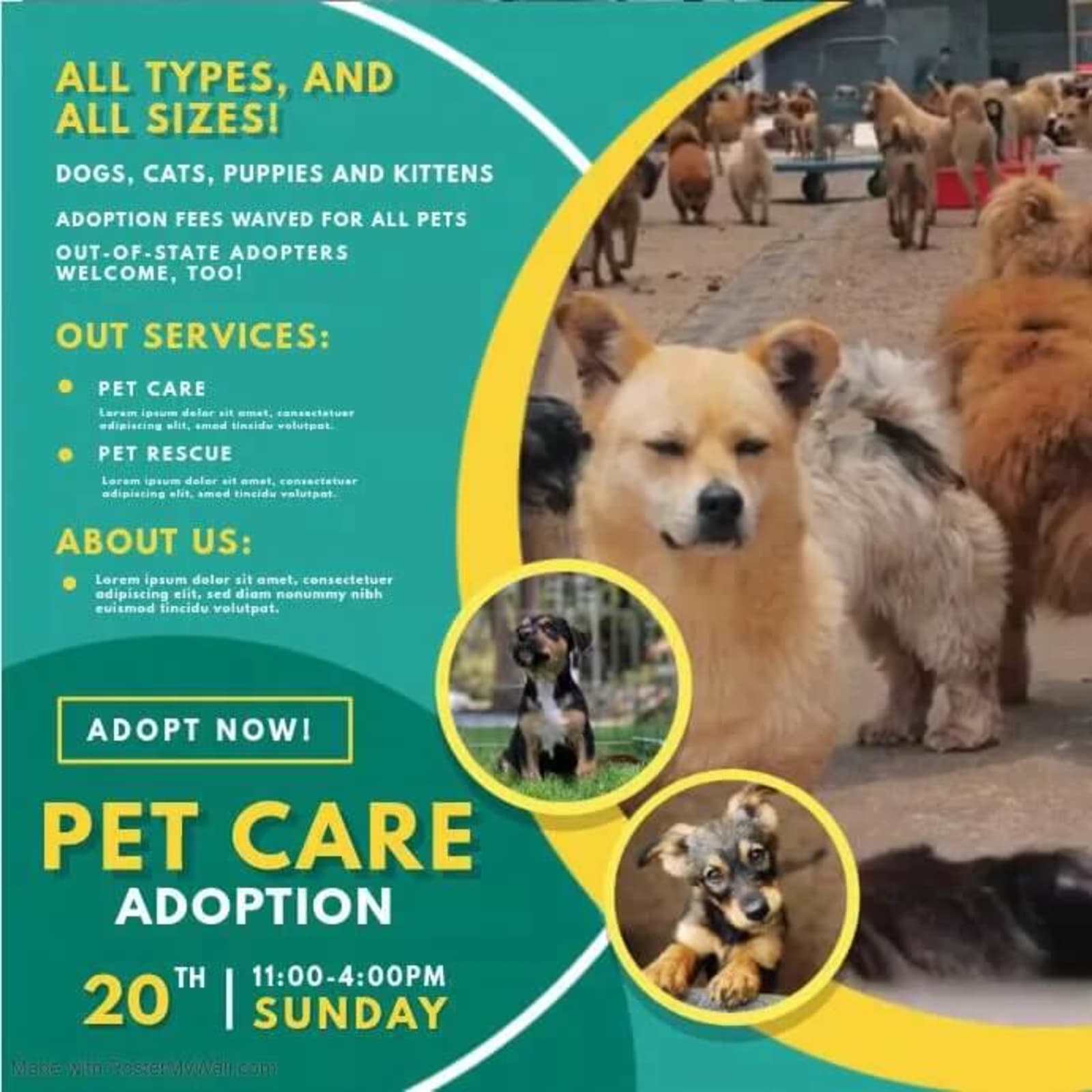Pets