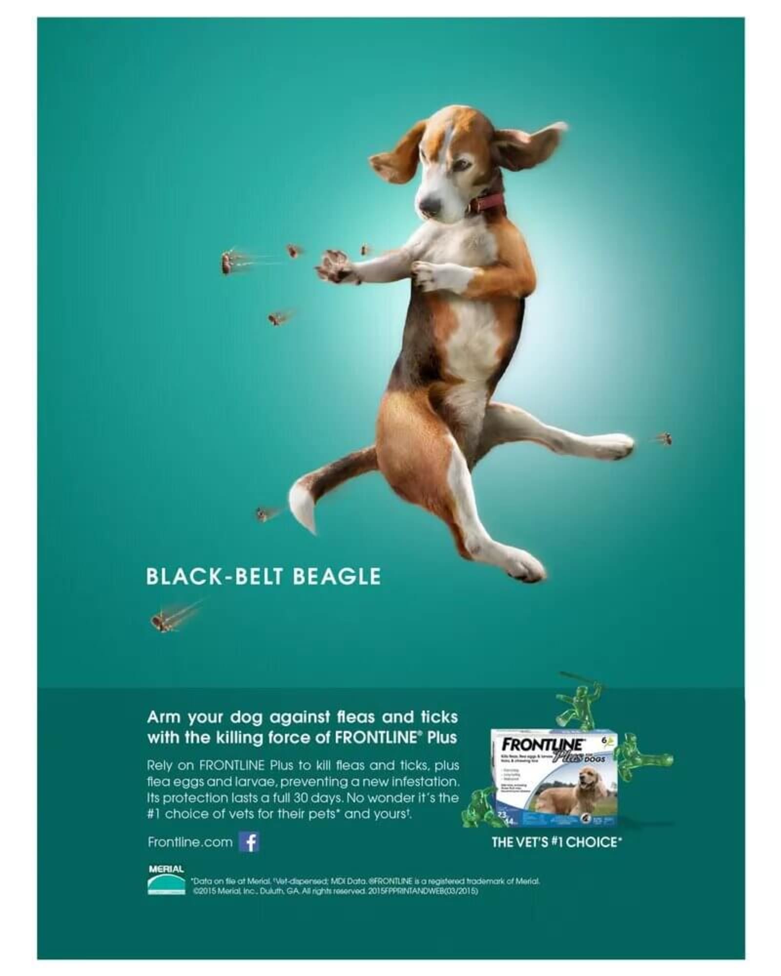 Pets