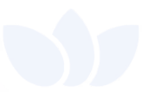 Meds icon