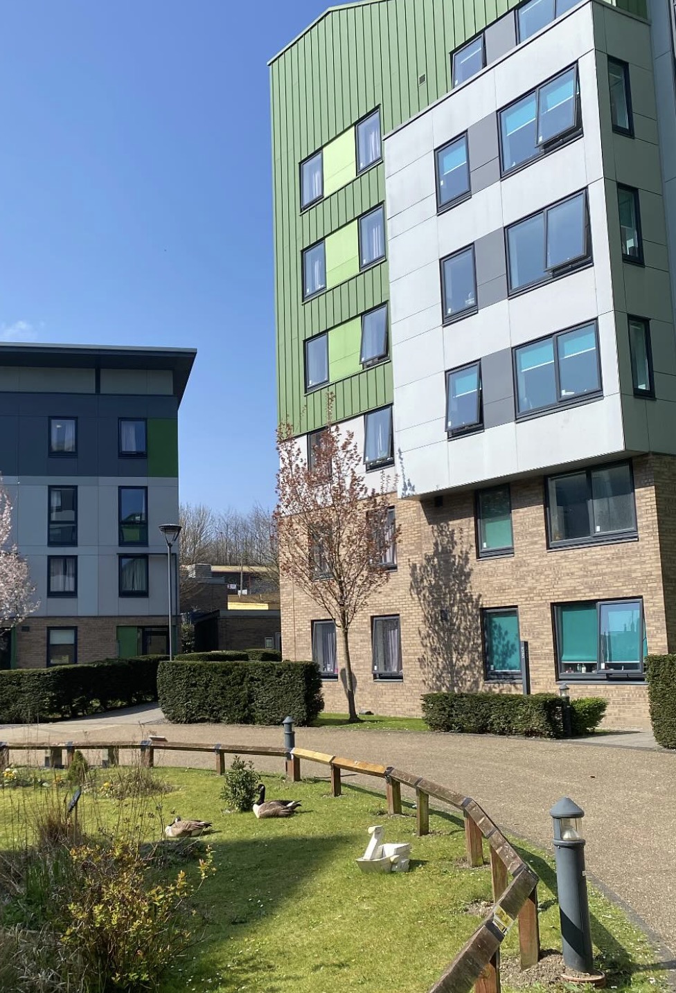 University of Bradford