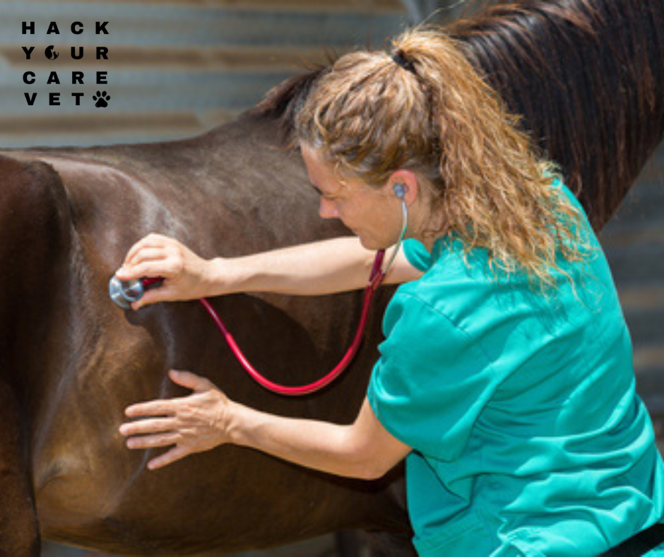 Missions vétérinaire 