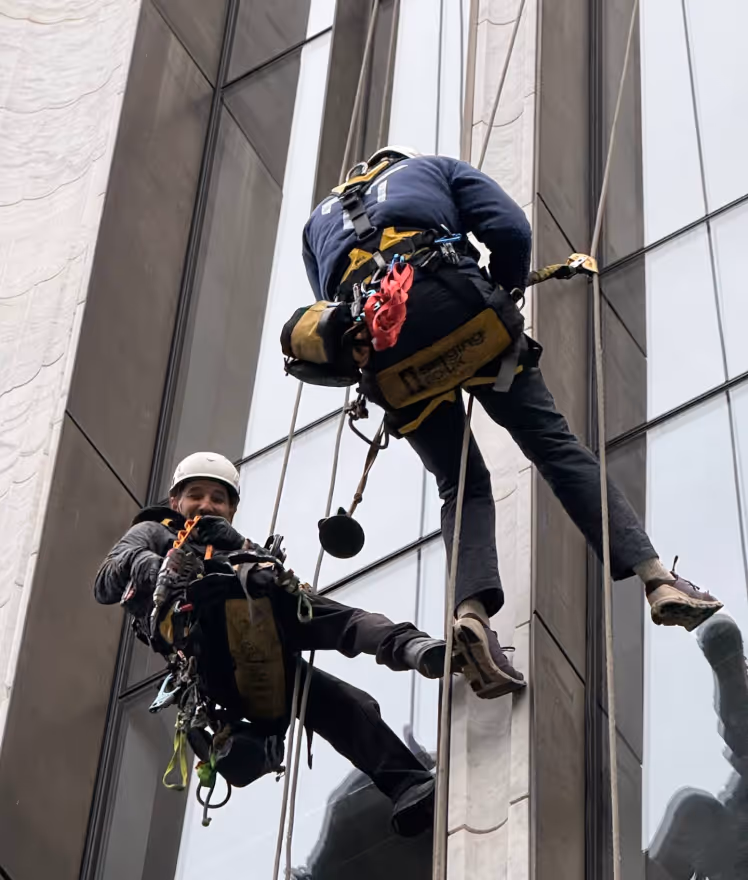 Two workers wearing helmets and harnesses rappelling down a glass building facade while performing maintenance or cleaning.