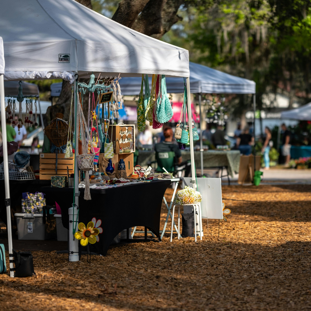 image of a beautifully plated sushi dish (for a japanese restaurant)