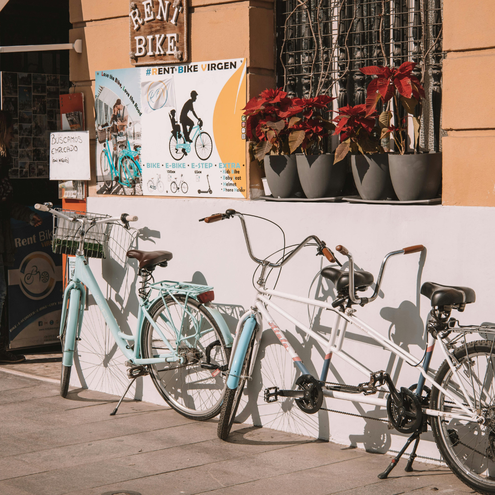 image of a beautifully plated sushi dish (for a japanese restaurant)
