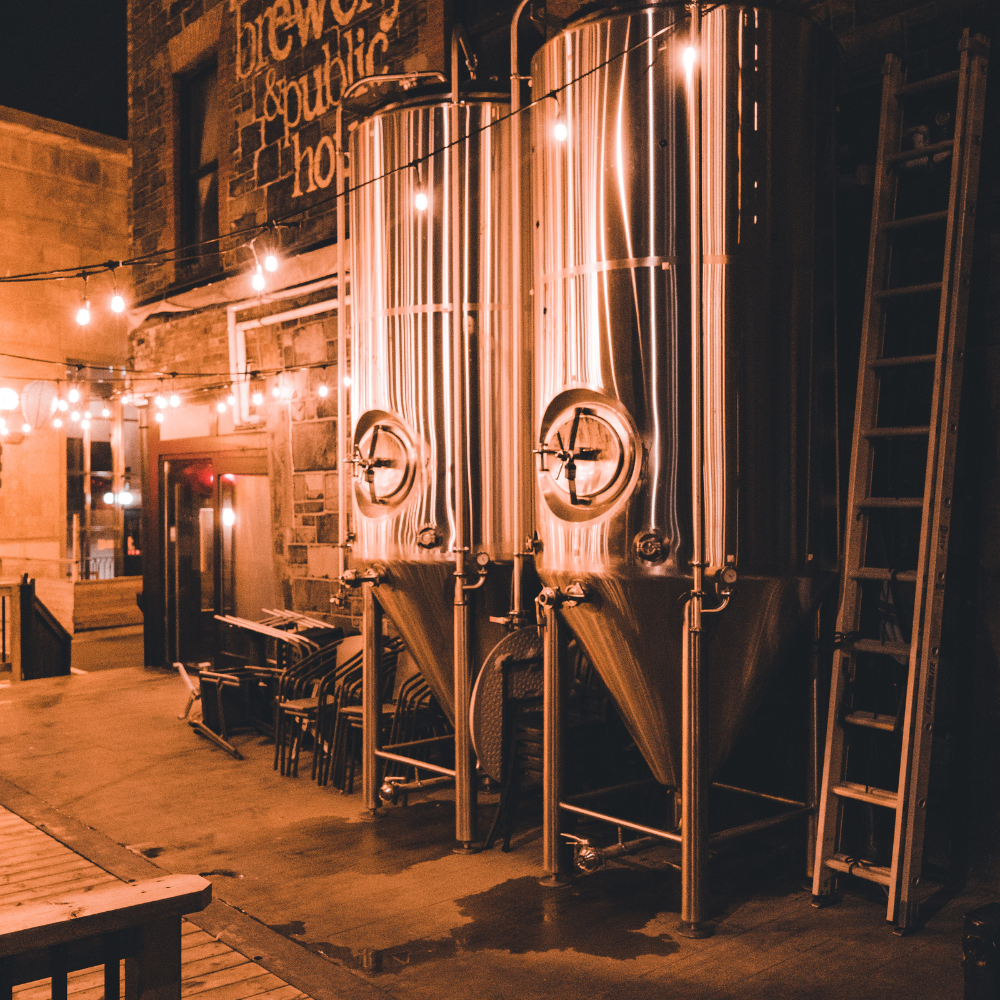 image of a beautifully plated sushi dish (for a japanese restaurant)