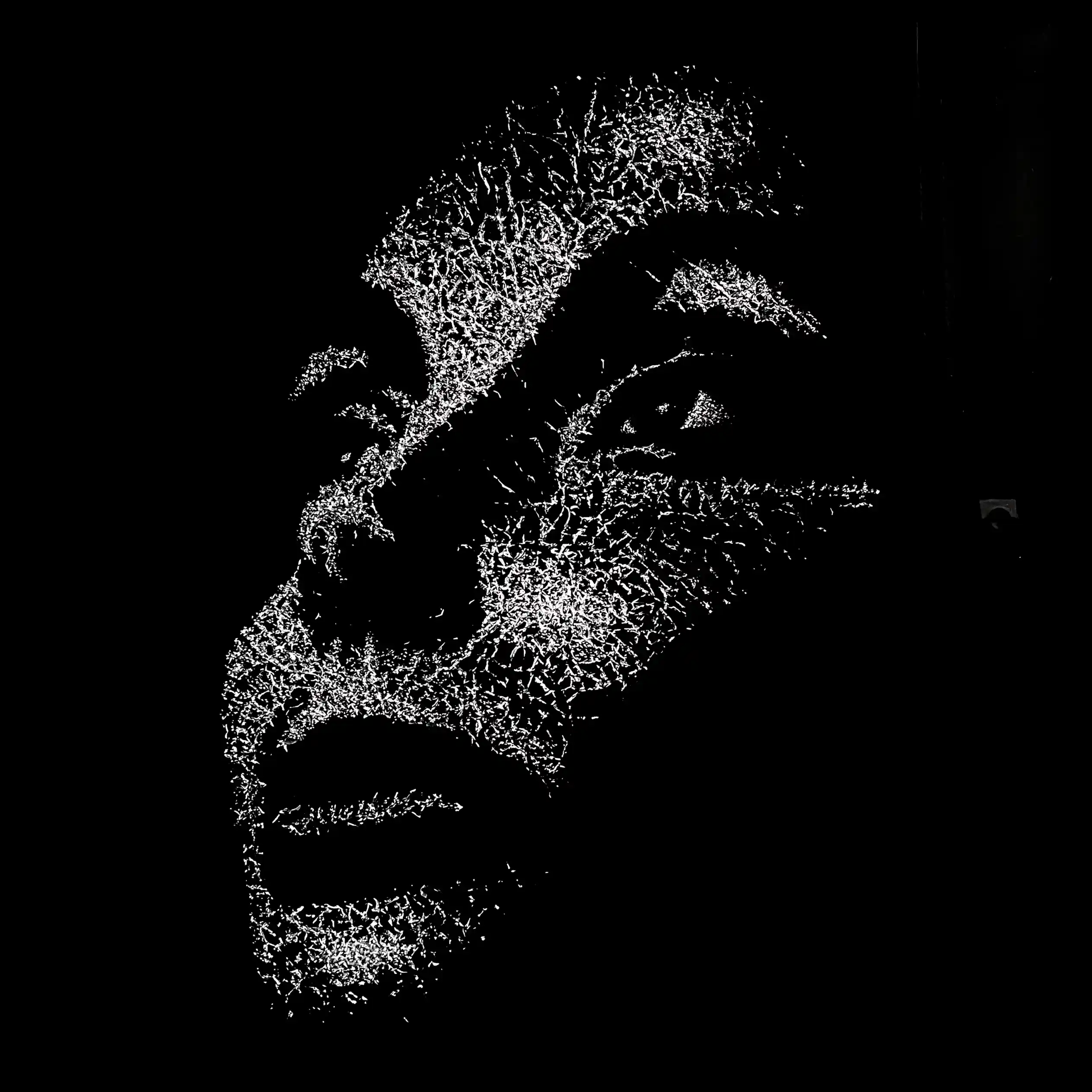 Visage féminin émergeant d’une plaque de verre brisé, jeux de lumière, esthétique contemporaine et délicate.