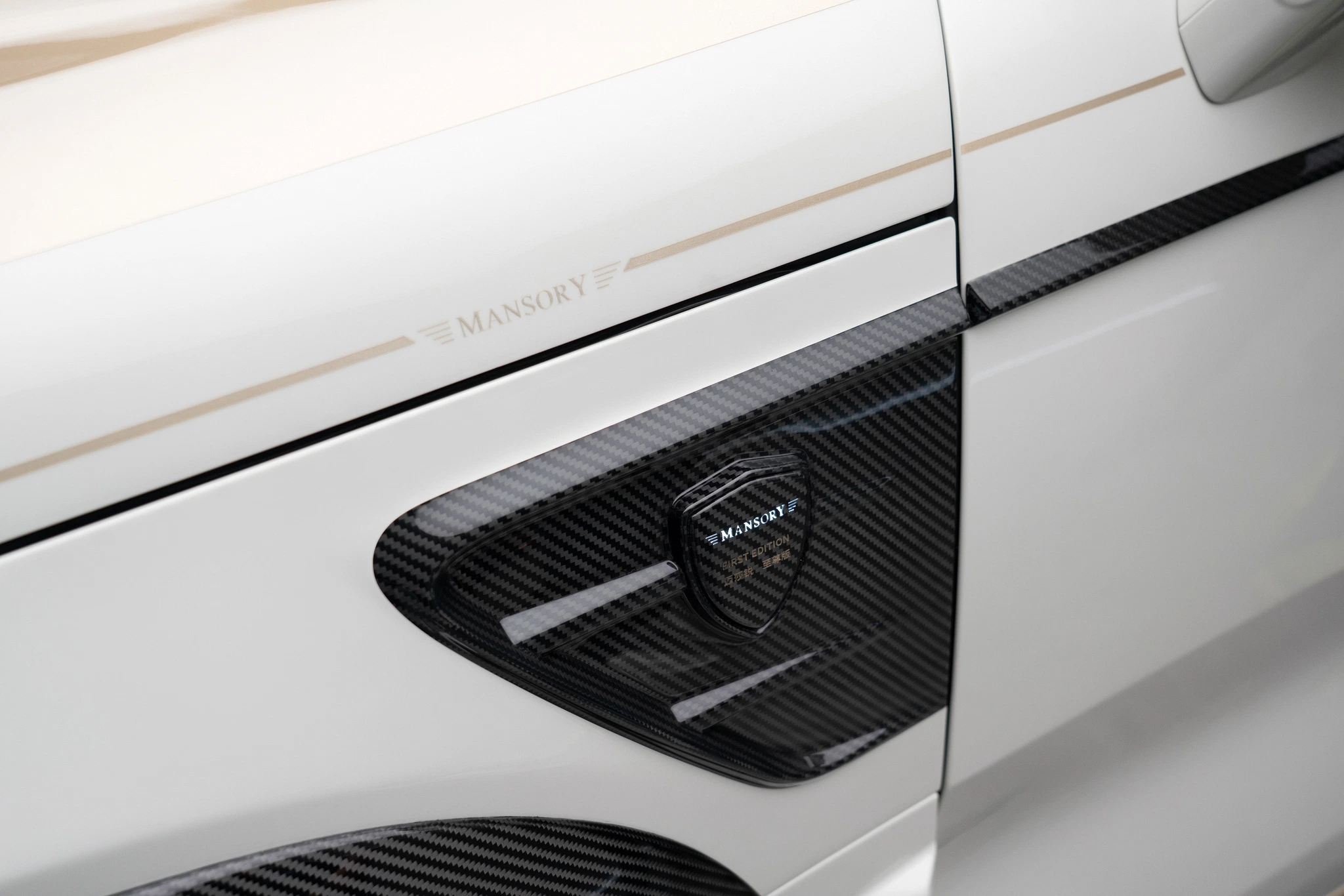 Mansory Zeekr 9X — front detail with vertical grille