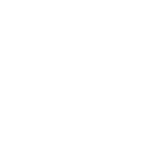 program icon