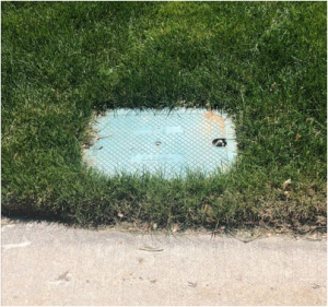 A fiber box, covered and sitting flush with the lawn.