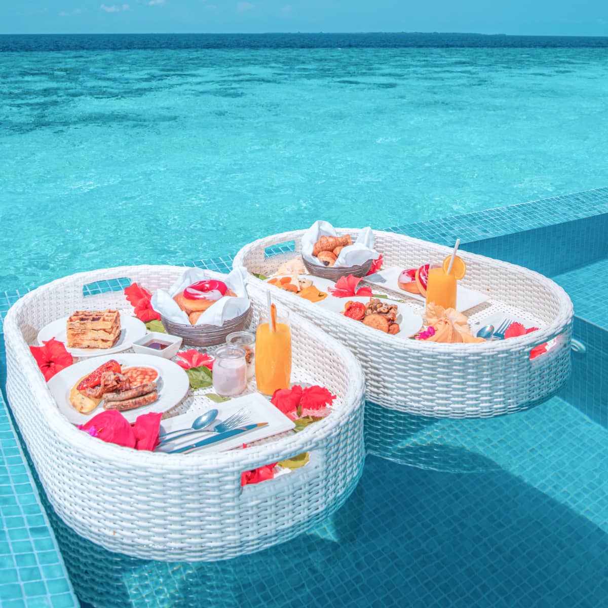 Follow Us To Discover Amazing Stories - Suite X Webflow Template