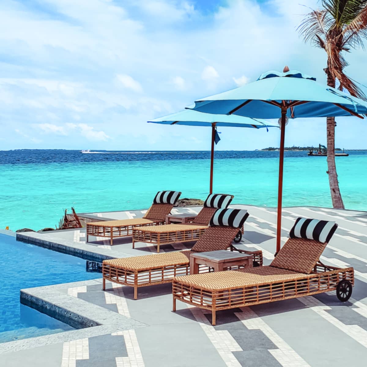 Follow Us To Discover Amazing Stories - Suite X Webflow Template