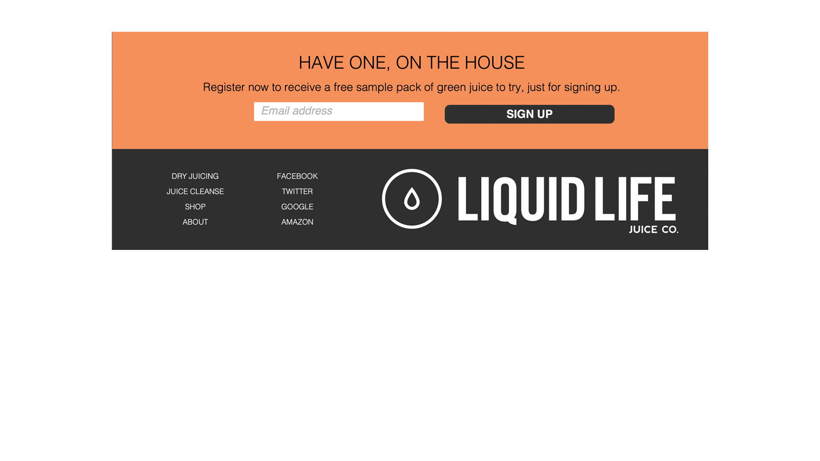 TBM Liquid Life CPG company homepage design, view 4