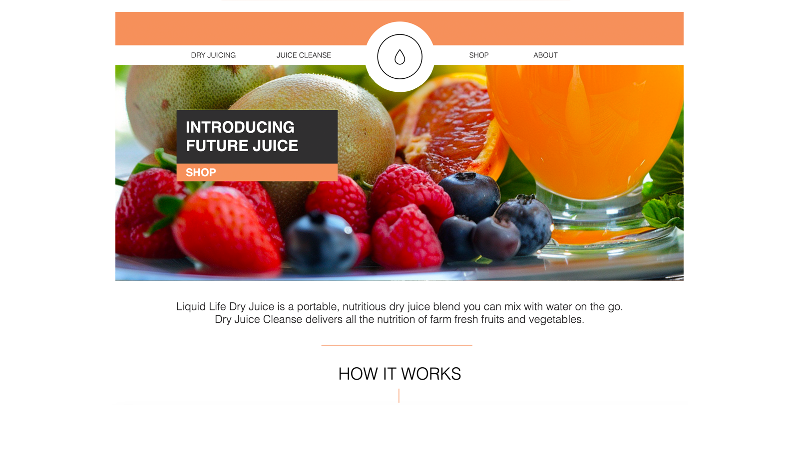 TBM Liquid Life CPG company homepage design, view 1