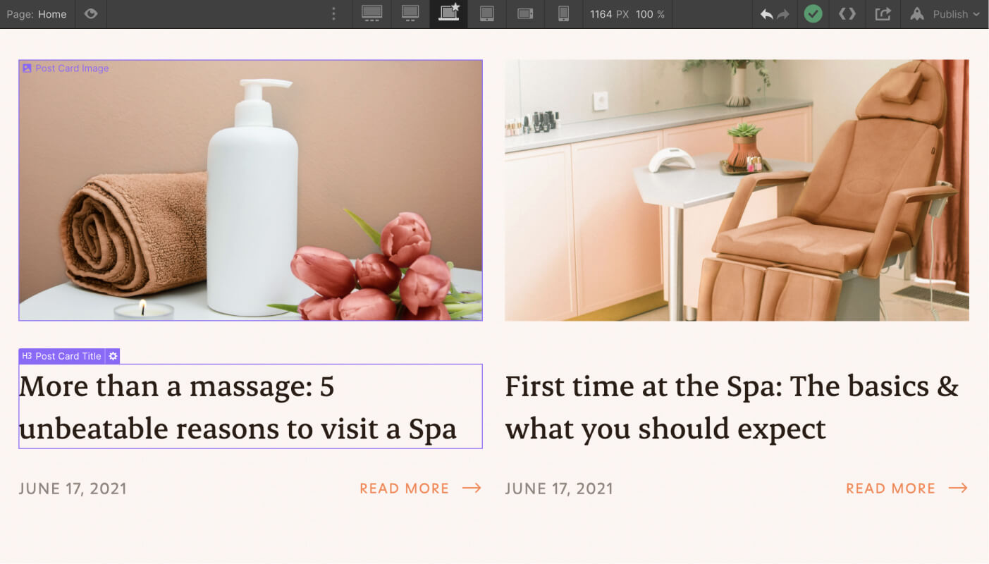Dynamic Content CMS - Spa X Webflow Template