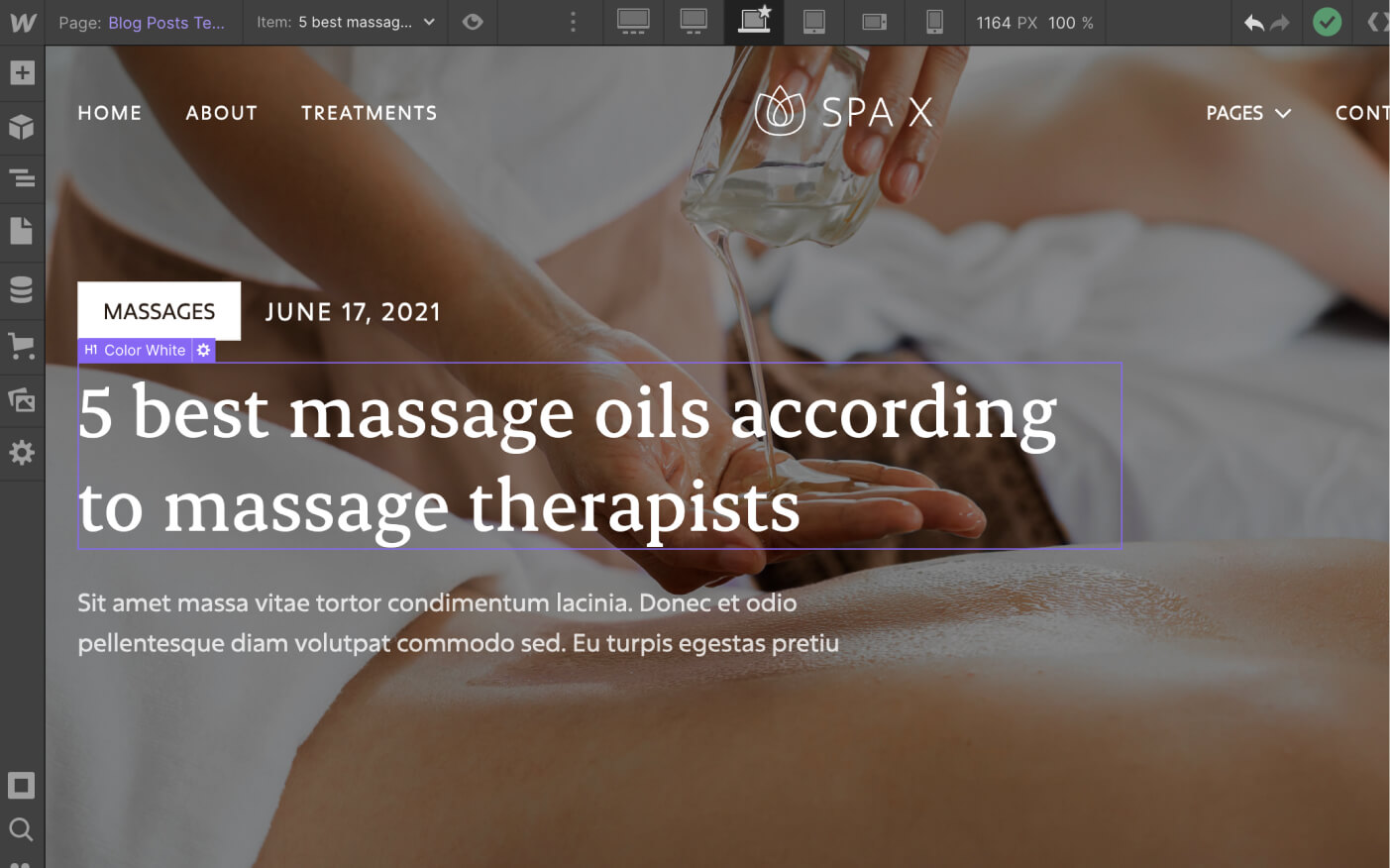 CMS Page - Spa X Webflow Template