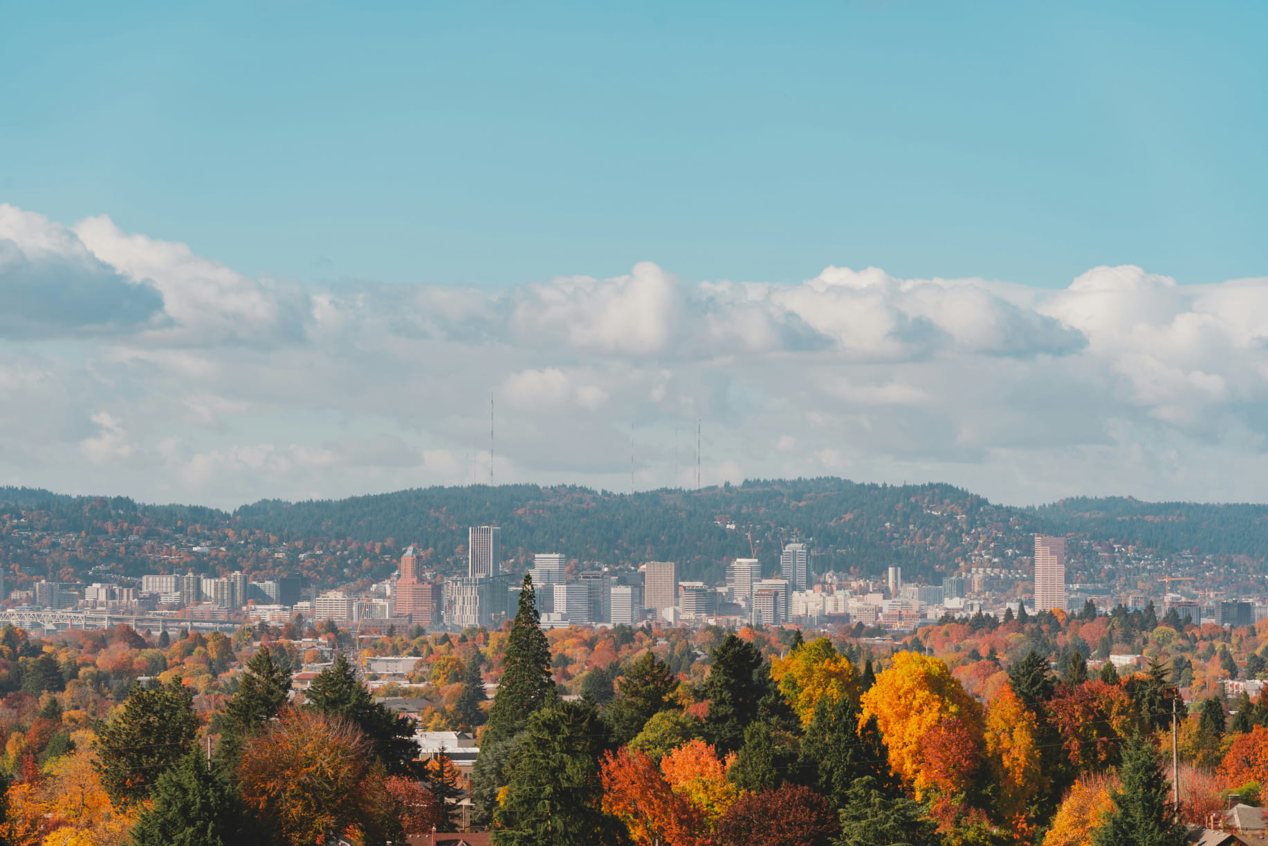 Wide view of the Portland, Oregon skyline surrounded by autumn trees, representing local visibility and why local SEO matters for regional businesses