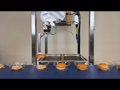 Introducing Piece Picking: Automating Individual Food Items from Unstructured Totes