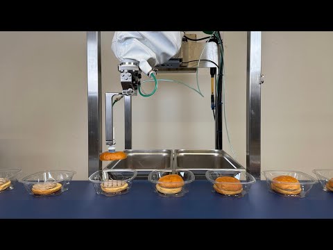 Introducing Piece Picking: Automating Individual Food Items from Unstructured Totes