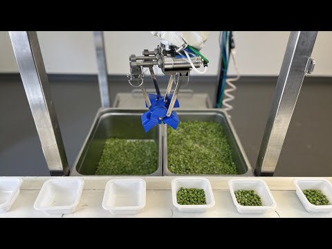 Chef robot depositing green peas with multi-deposit feature
