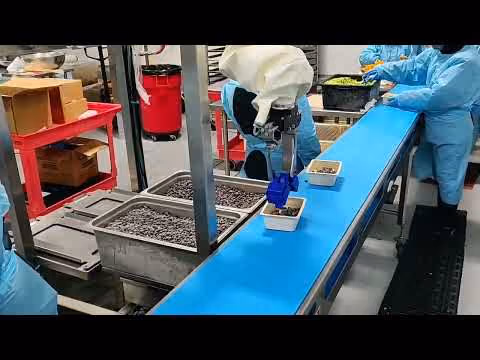 Chef robot picks and places black beans