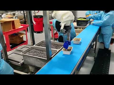 Chef robot picks and places black beans