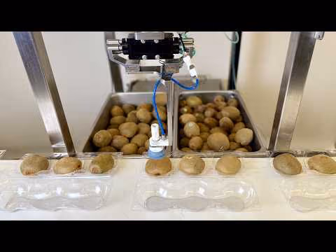 Chef Robotics Physical AI Models Can Help Automate Produce Packing