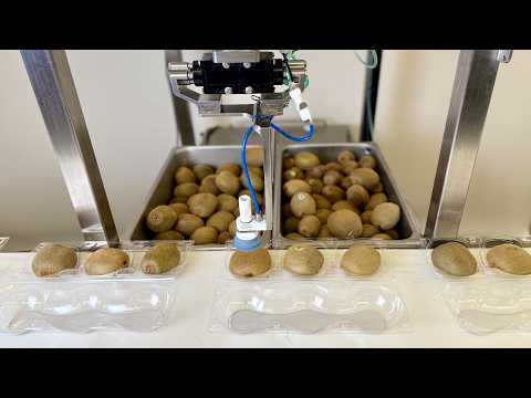 Chef Robotics Physical AI Models Can Help Automate Produce Packing