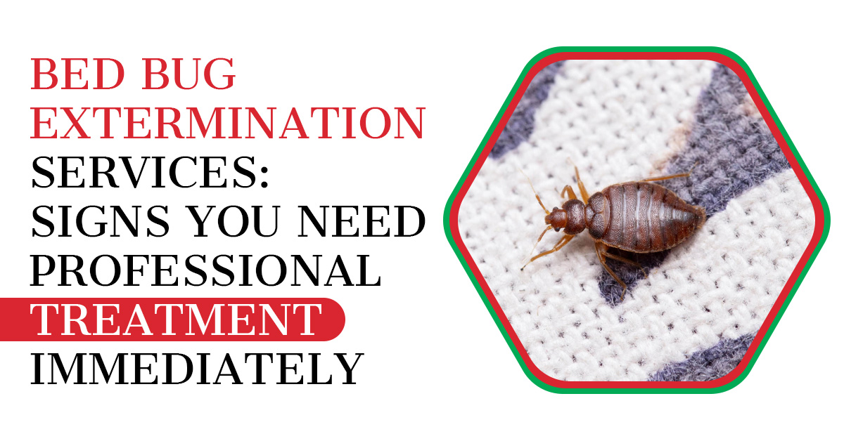 Bed Bug Extermination Services: Signs You Need Professional Treatment Immediately