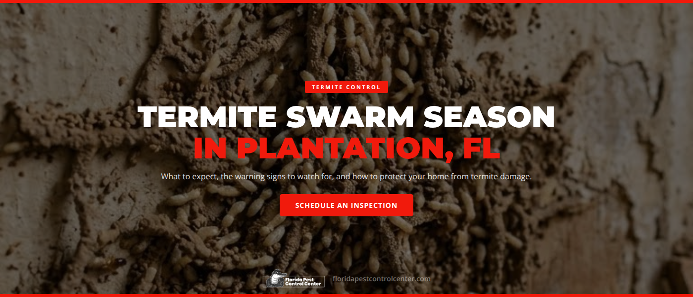 Winged termite swarmers near a window during termite swarm season in Plantation, FL