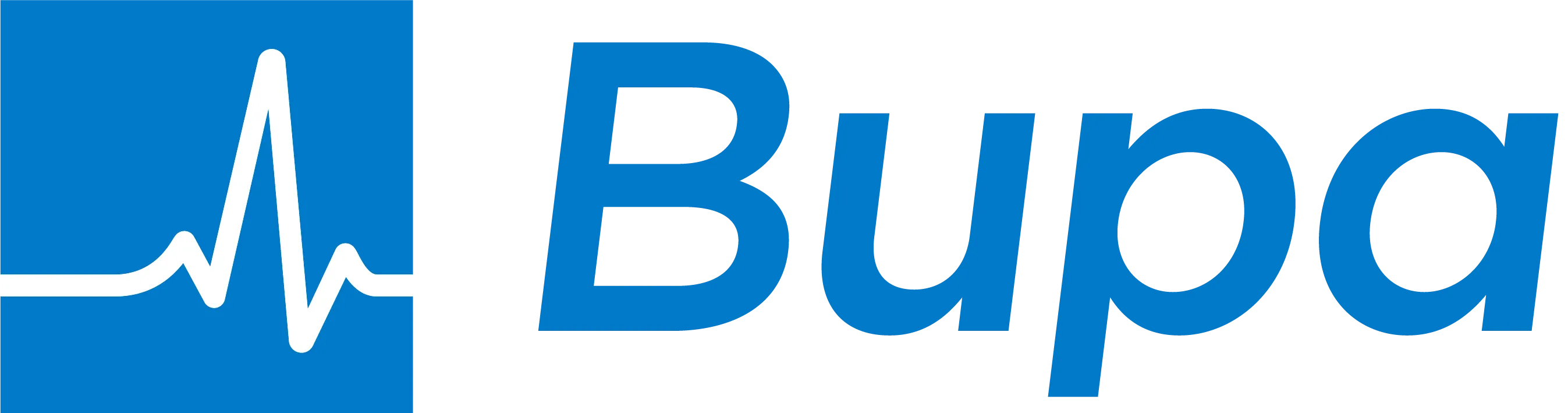 Brand Card Icon