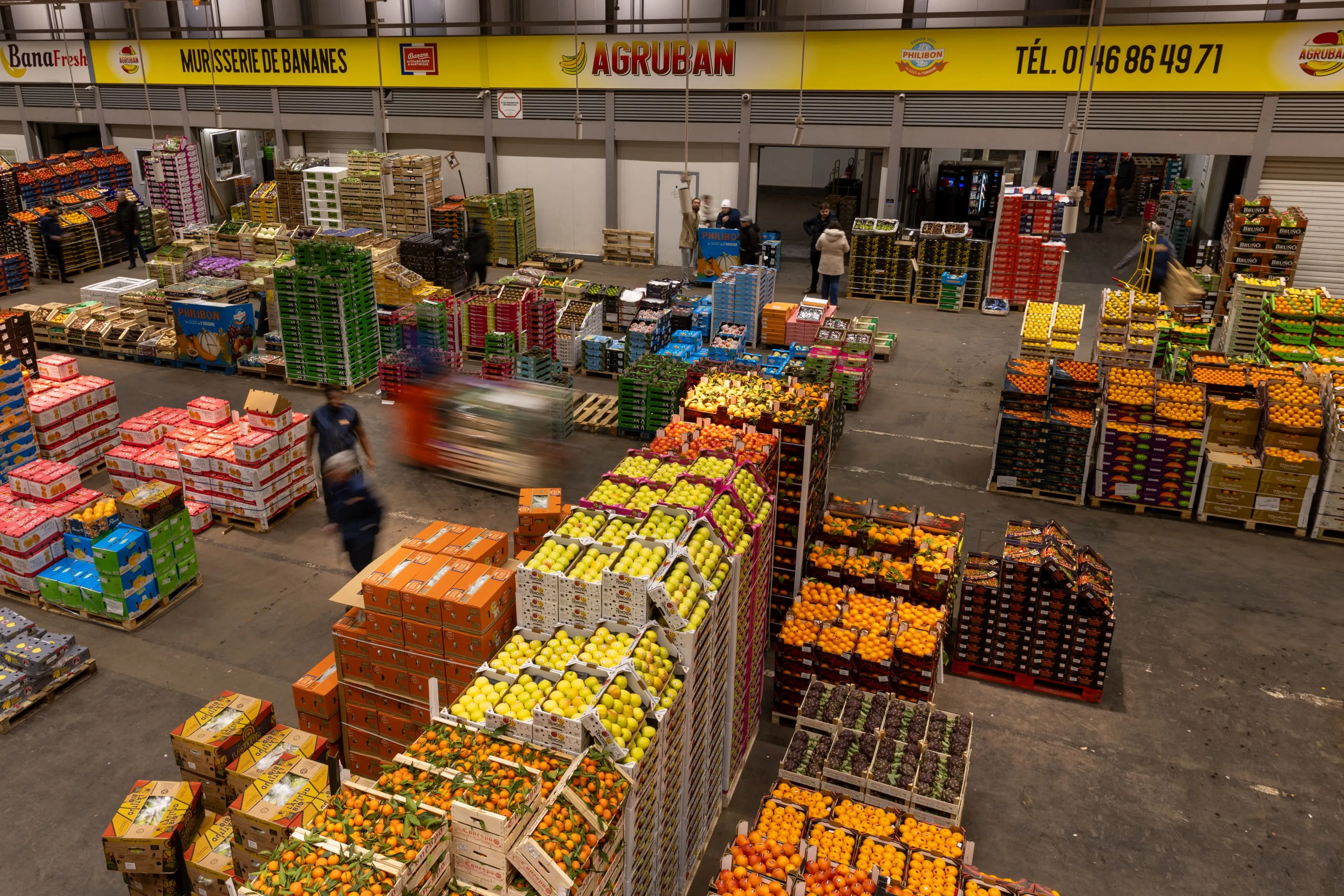 Fruits et légumes frais sélectionnés par Agruban, grossiste au MIN de Rungis
