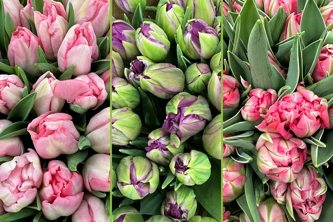 New article on the St. Gabriel blog.