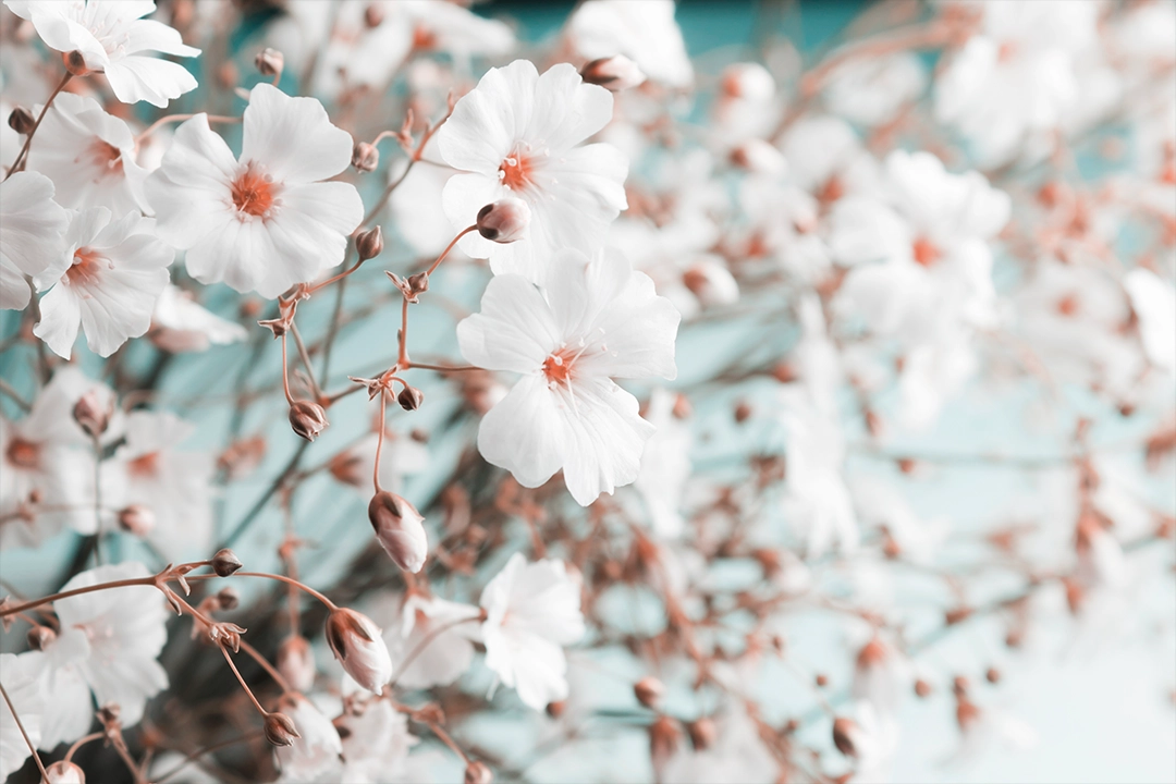 New article on the St. Gabriel blog.