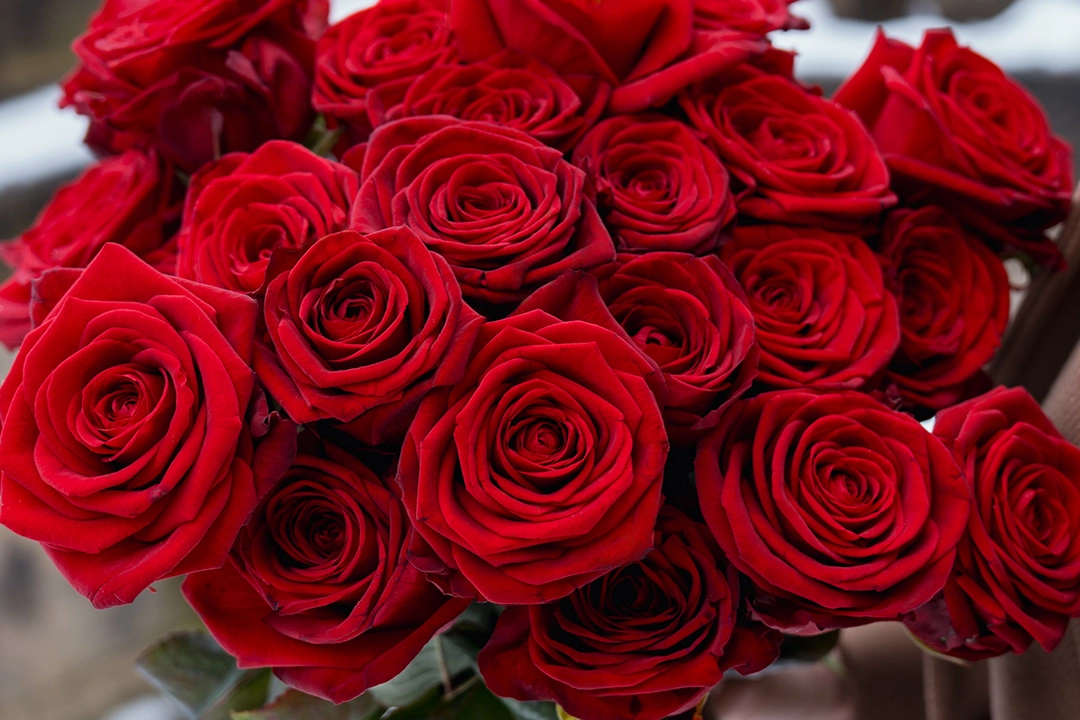 New article on the St. Gabriel blog.