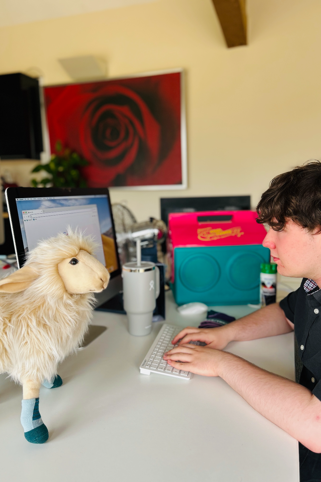 My Work Experience at Spring PR: A Week in the World of Marketing
