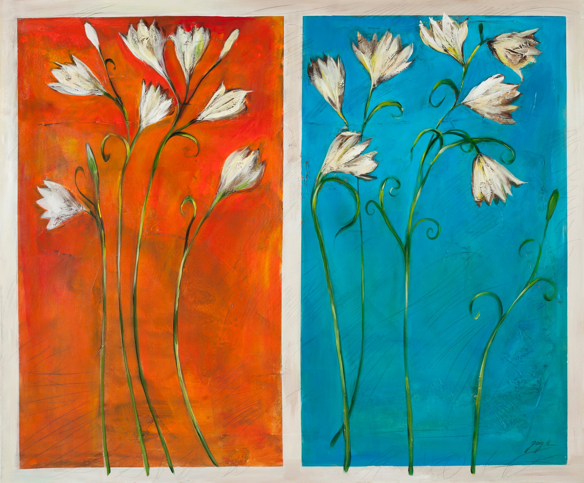 Size (H x W): 39 x 47