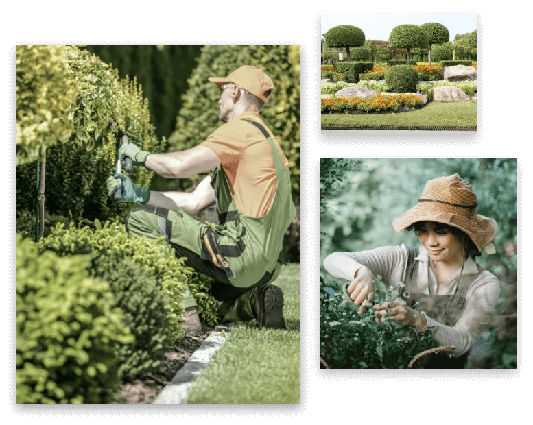 Zwei Gärtner, die glücklich arbeiten und ein moderner Garten