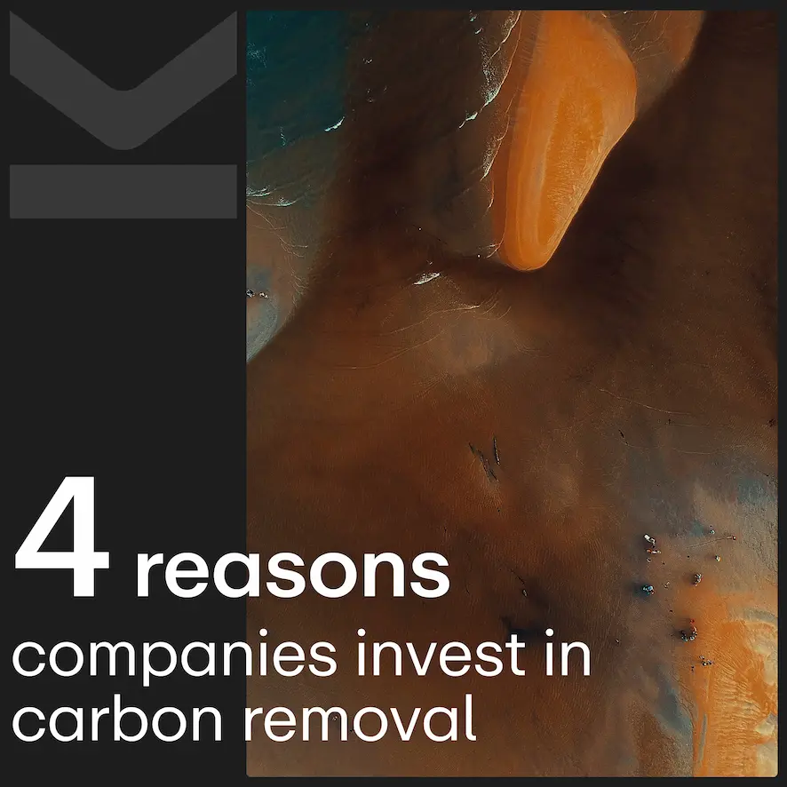 The Business Case for Carbon Removal